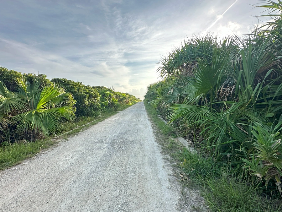 赤嶺 政信様から応援コメントをいただきました。