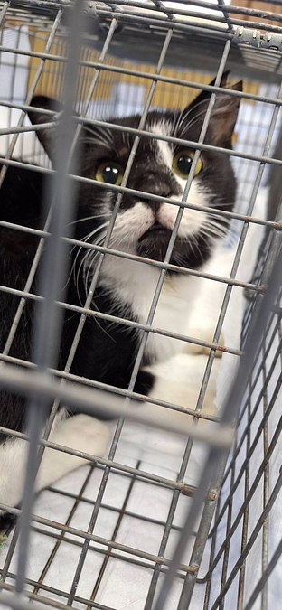 活動報告遅くなりすみません。連投になりますが、よろしくお願いいたします🙇‍♀️