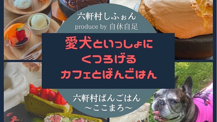 愛犬OK！札幌市内にドッグラン併設のカフェをオープンします！