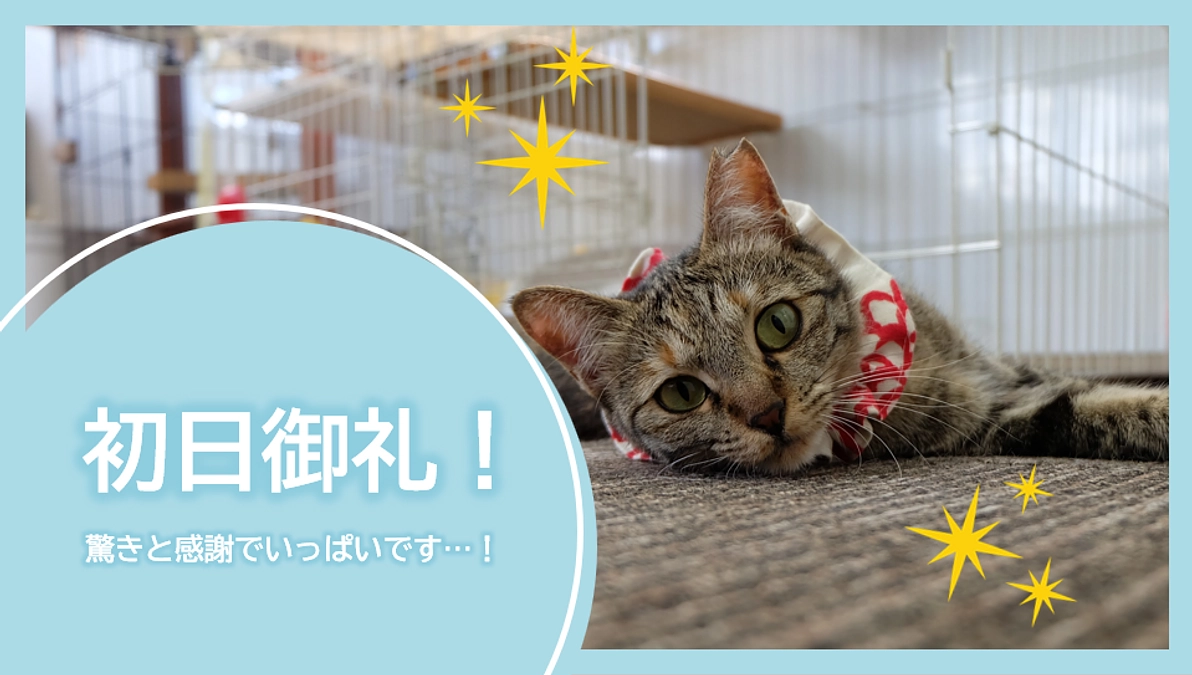 初日90万円達成！支援者様50人超え！本当にありがとうございます🙇