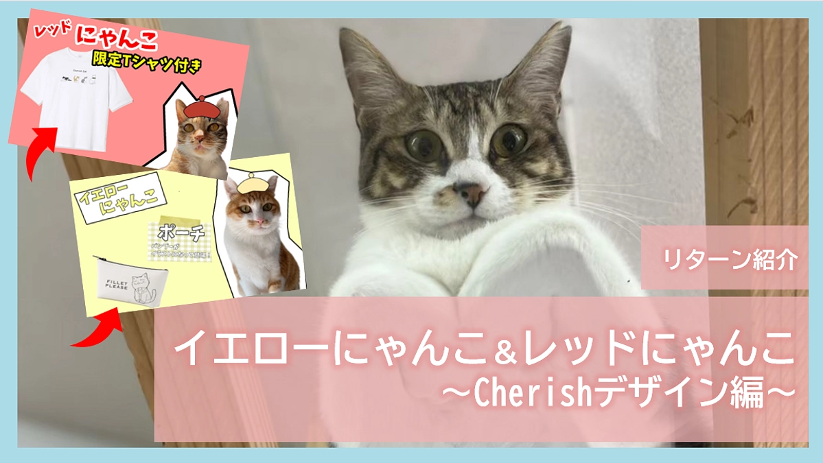 リターン紹介｜イエローにゃんこ＆レッドにゃんこ～Cherishデザイン編～