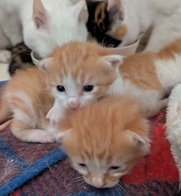 ゴール達成いたしました!!!