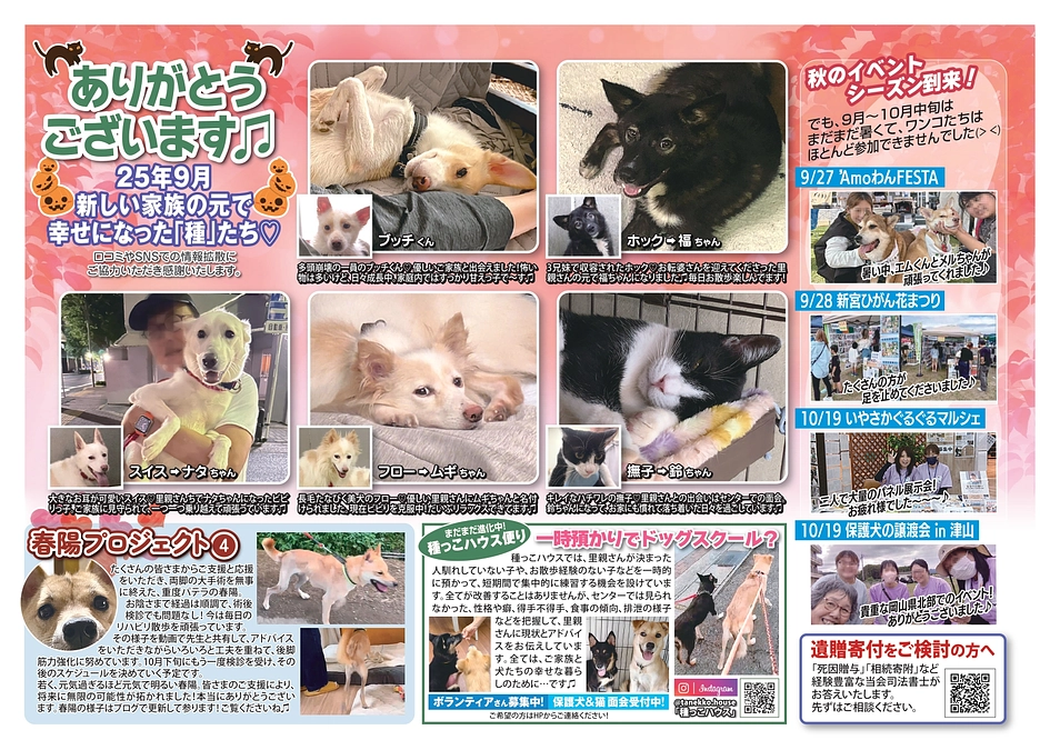 種っこ通信【Newsletter vol.86】近況ご報告♡