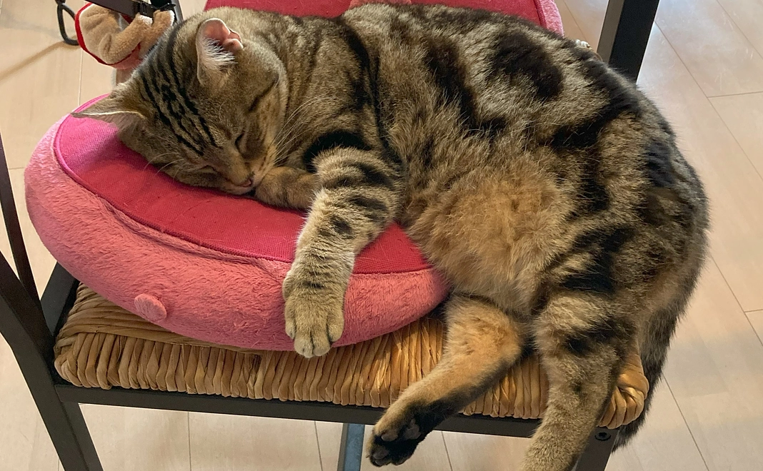 感謝のお礼メール