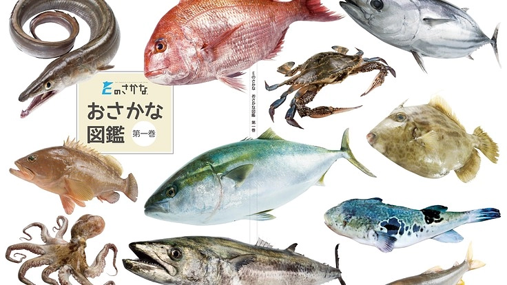 海の豊かさを守ろう！愛媛の魚食文化を伝えるおさかな図鑑を作りたい