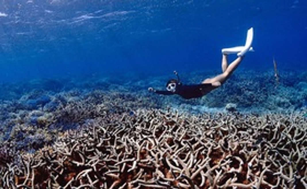 割引体験ツアー 2