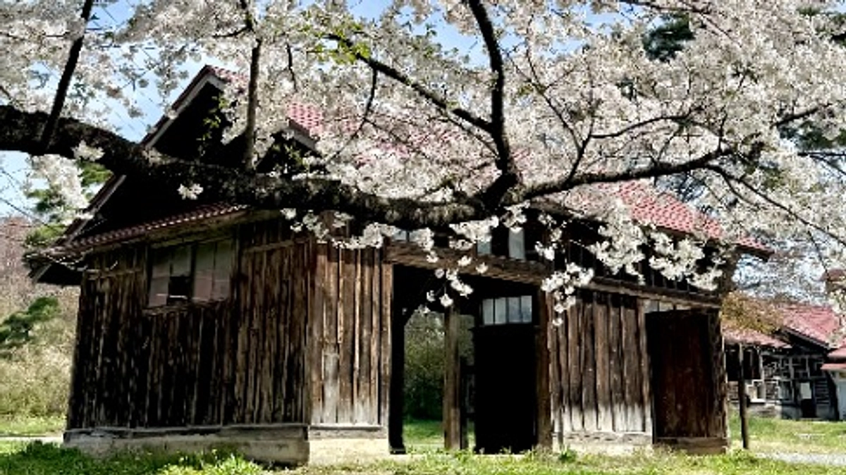 目標達成いたしました！🌸