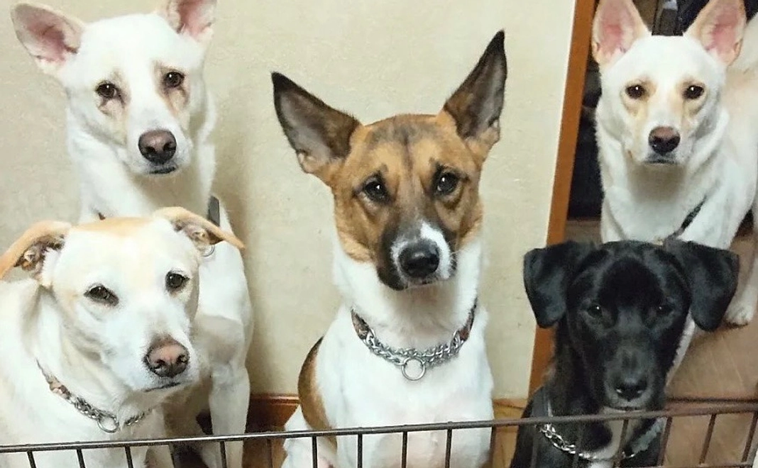 しっかり食べて元気な身体10000円コース