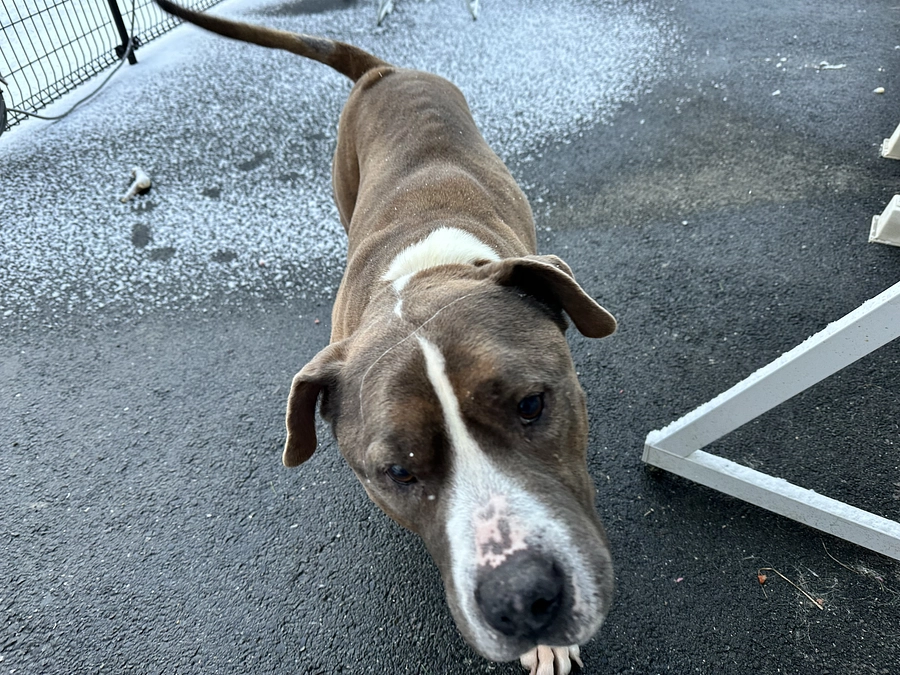 2025.1月　活動報告🐾