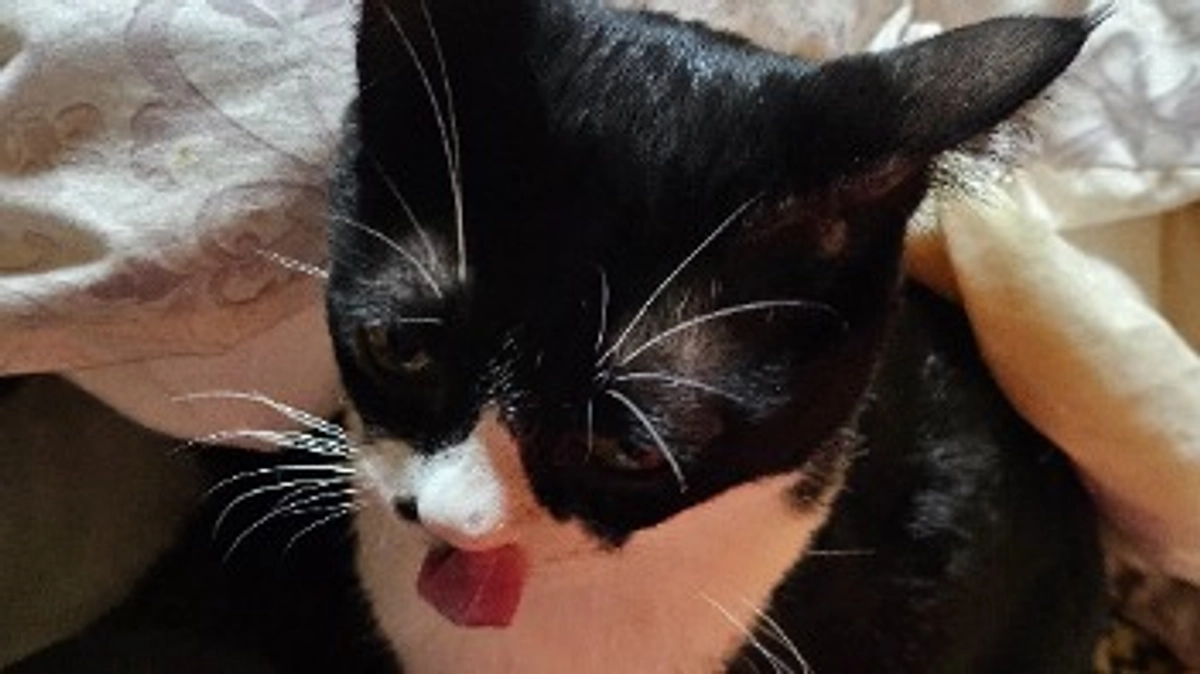 大寒波から一転！地球はどうなってるの？？