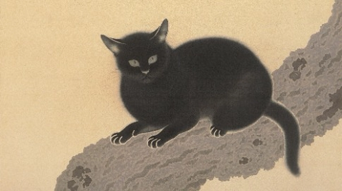 修理経過報告（４）菱田春草「黒き猫」の修理を開始しました