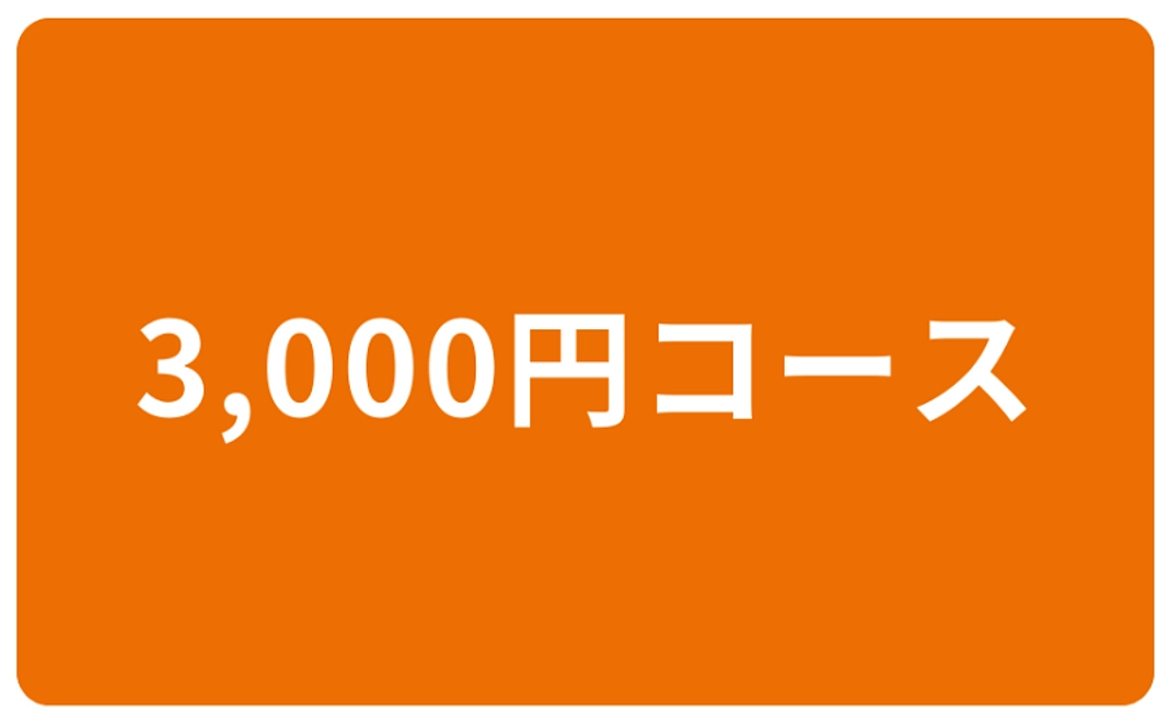 3,000円コース