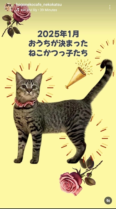１月は２７頭の猫たちが本譲渡になりました♪
