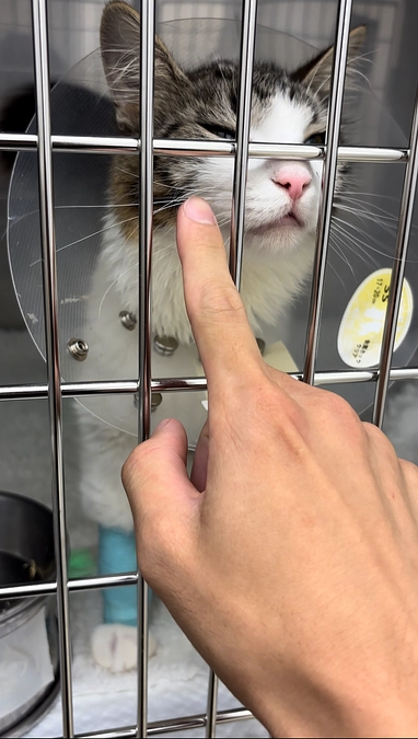 無事手術は終わりました！