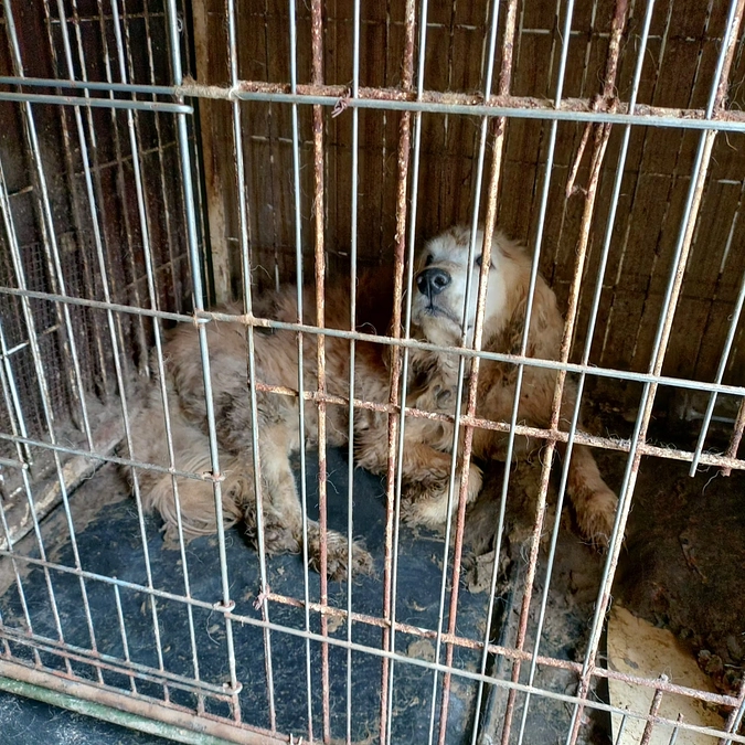 先日一般の御家庭で…