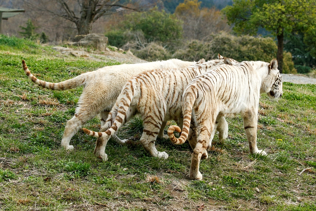 4月15日(月) 返礼品発送の追加のご連絡