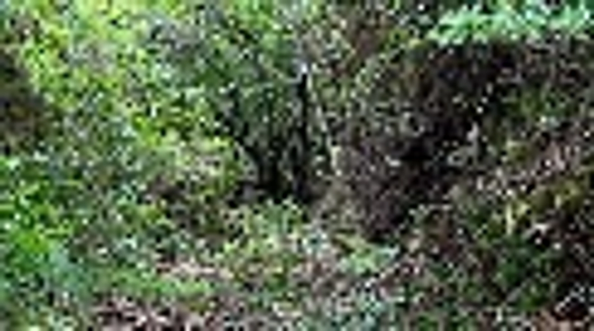 4/15(月) 契約等の進捗