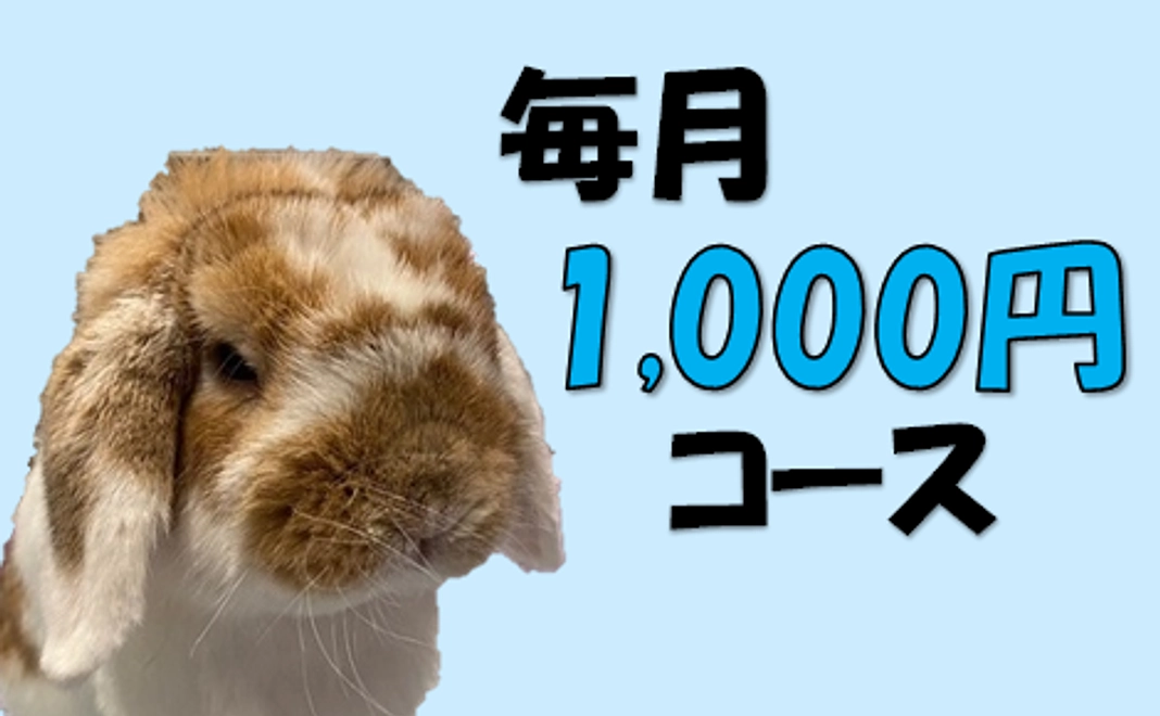 1,000円コース