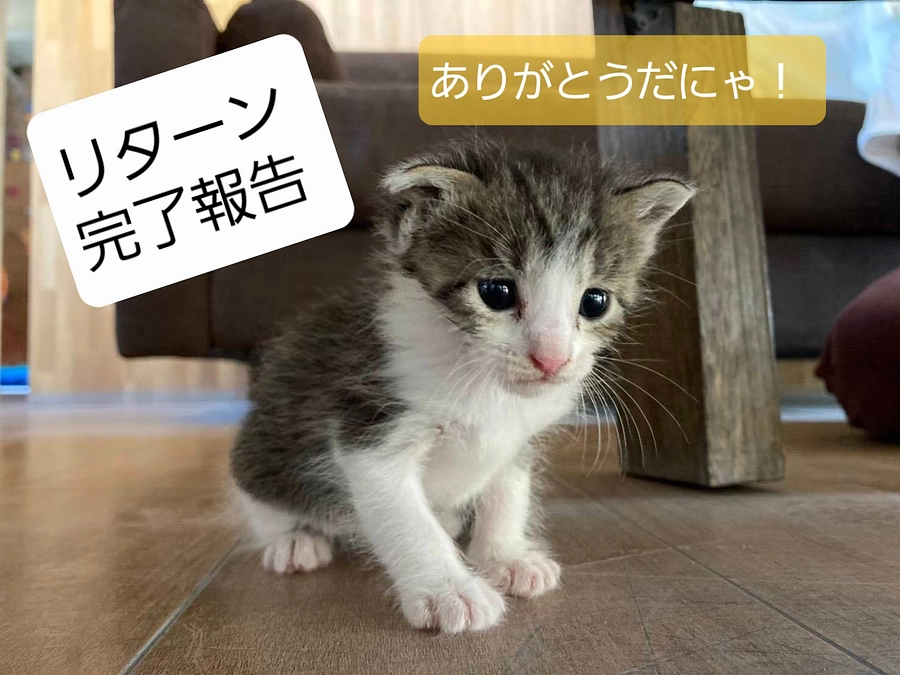 リターン完了報告