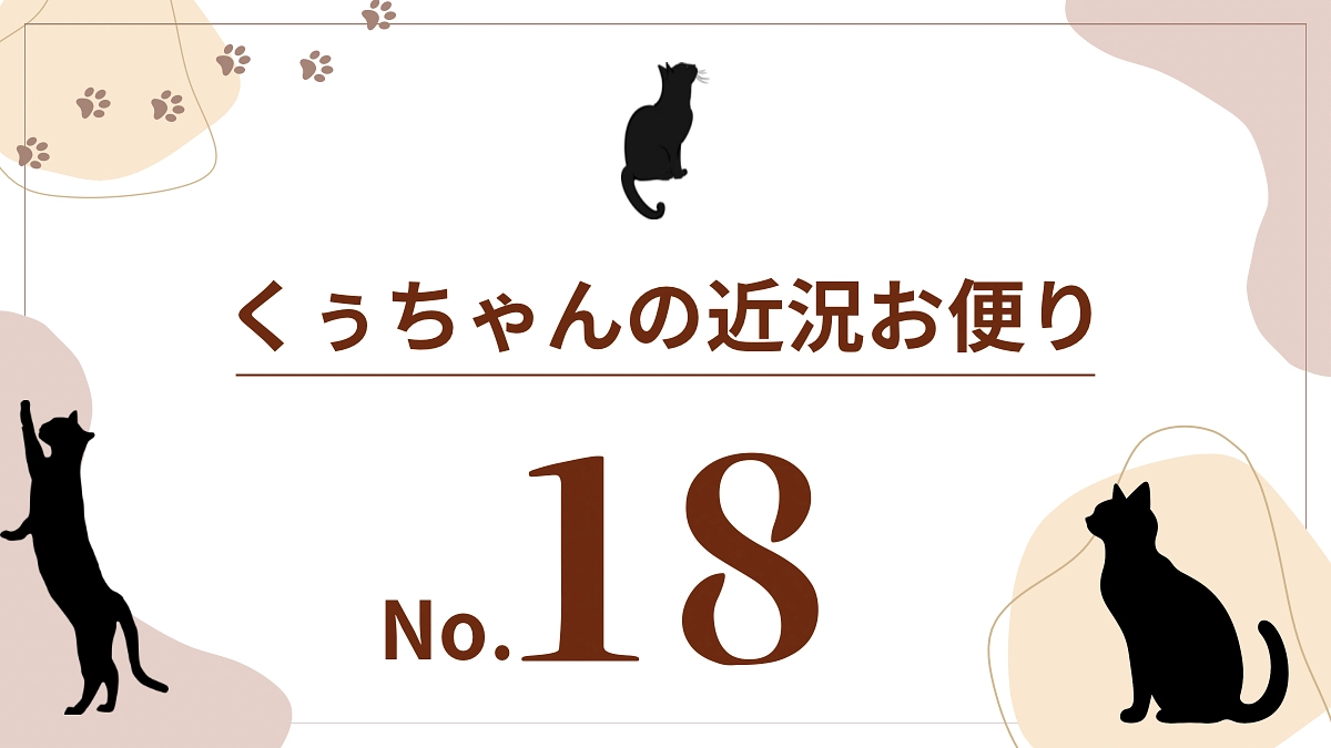 【くぅちゃんの近況おたより（8月25日〜28日）】