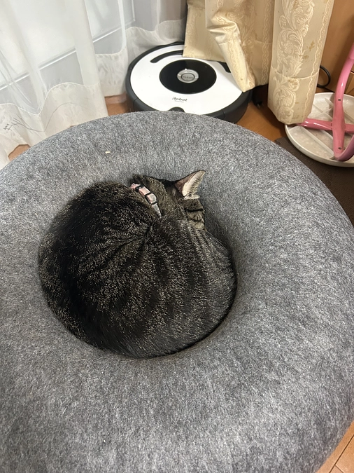 忙しいというのは言い訳で。