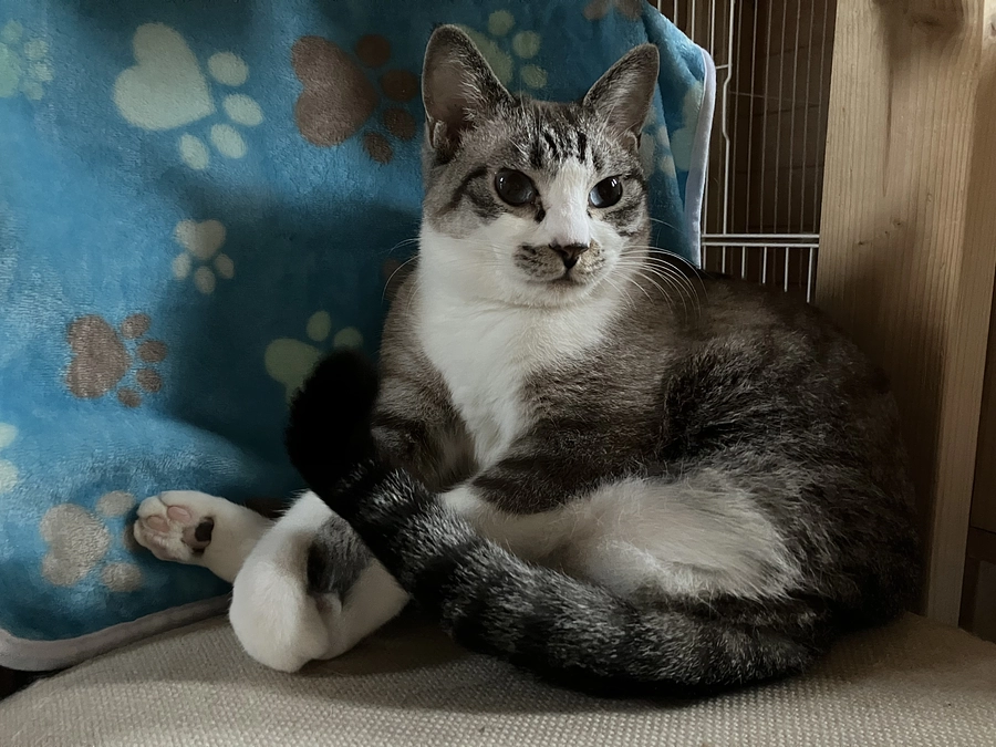 チラシを置いていただきました！