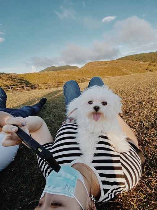 萌萌一家心からの感謝と賛美を捧げる