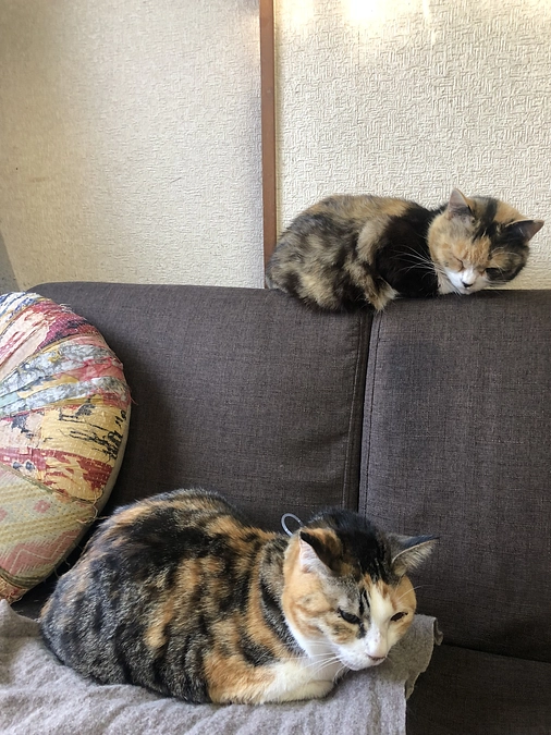 経過報告◆退院後　1週目②