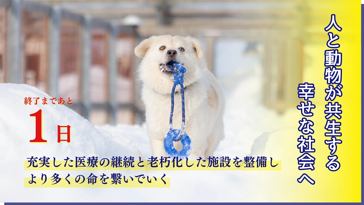 【残り1日】明日30日(金)の23時で終了となります