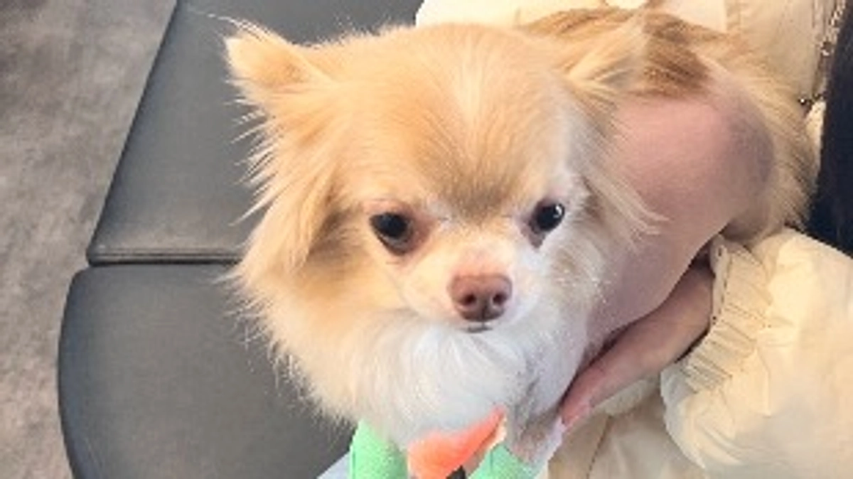 手術日となりました