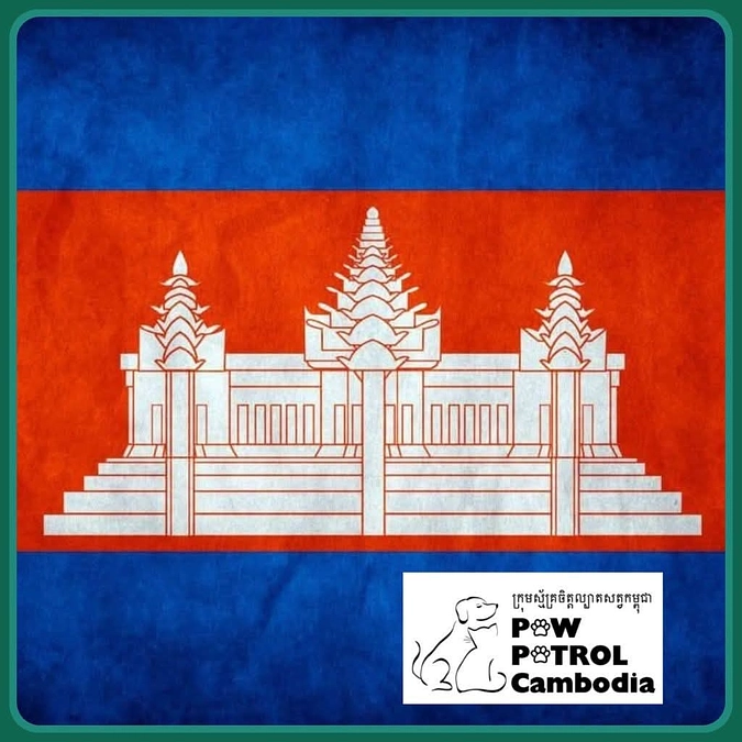 ダニ感染症のトニーの投薬に四苦八苦する一日でした