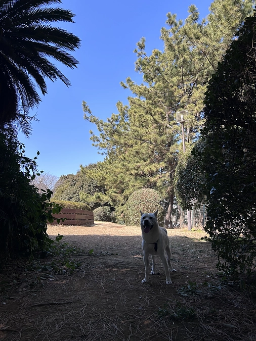 16/59 ☆ 小春日和