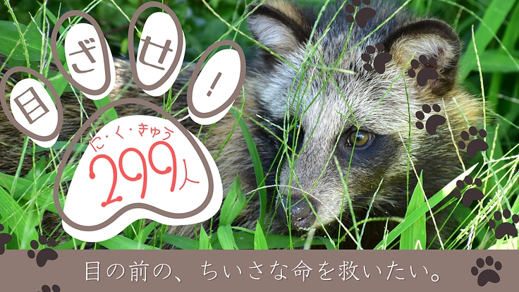 JWCサポーター大募集中!傷付いた野生動物を救いたい