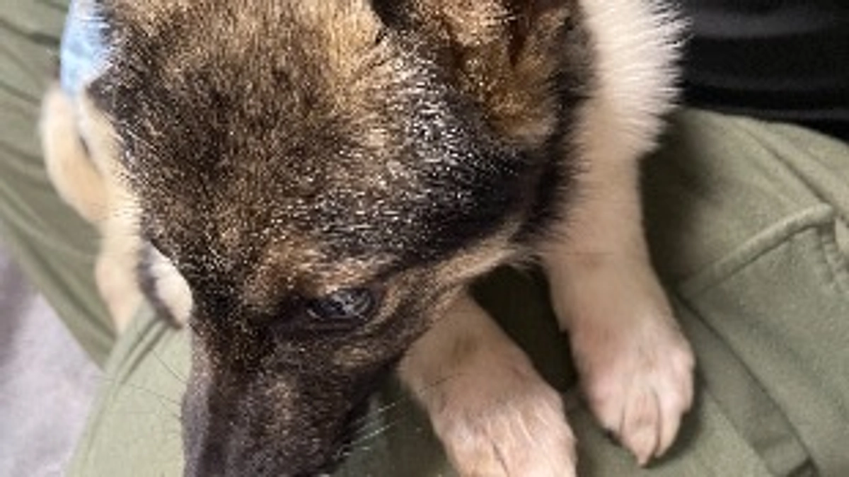 必ず成功させたい