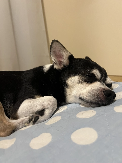 日々の感謝を込めて🍀