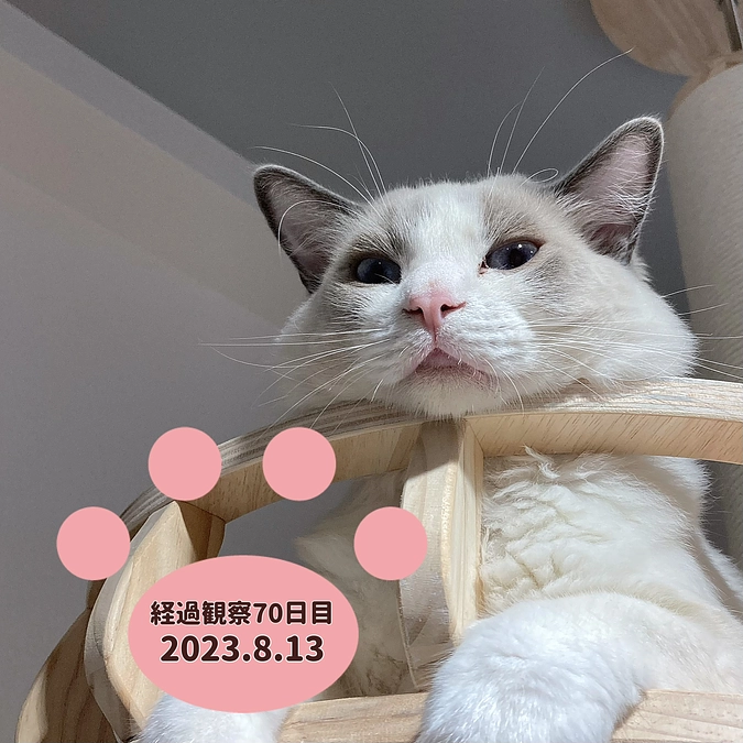 経過観察70日目(2023.8.13)