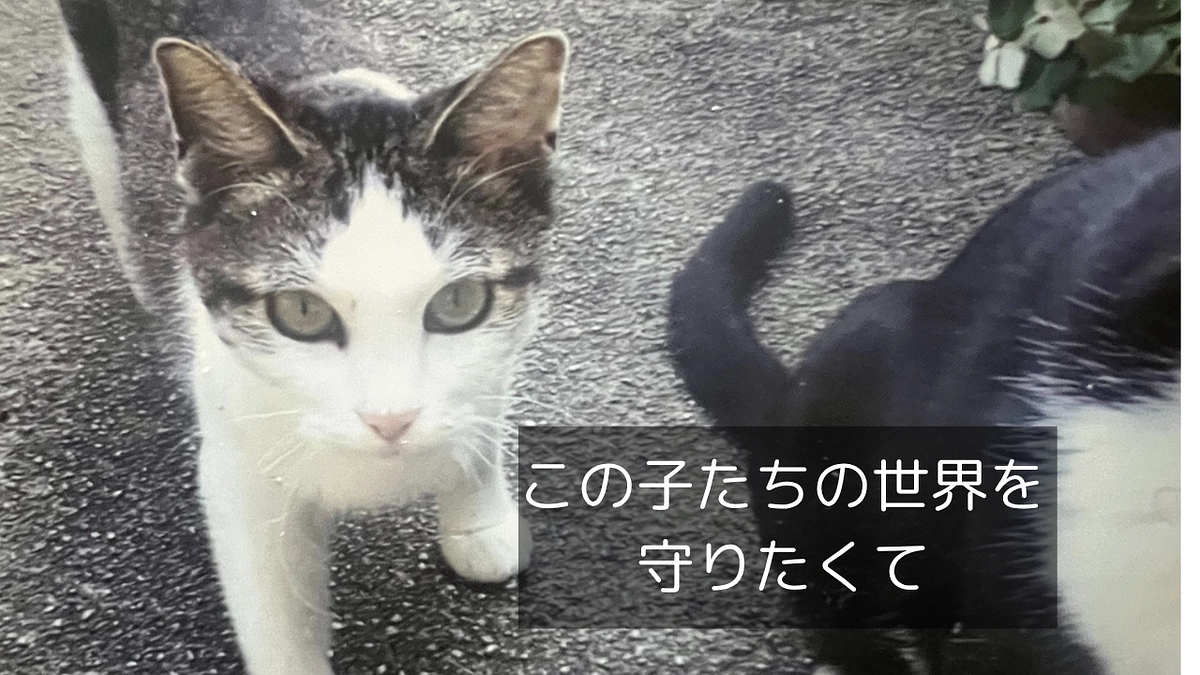 🐾この子たちの世界を 守りたくて