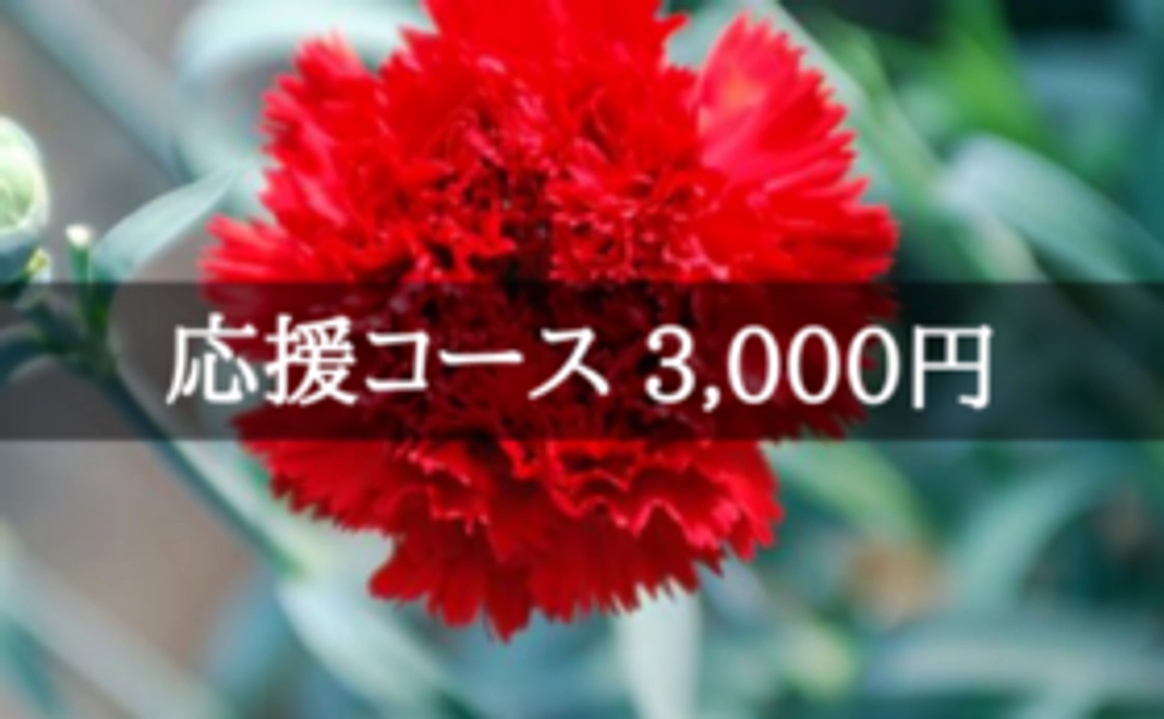 花き園芸農家の再建を応援！｜3,000円コース