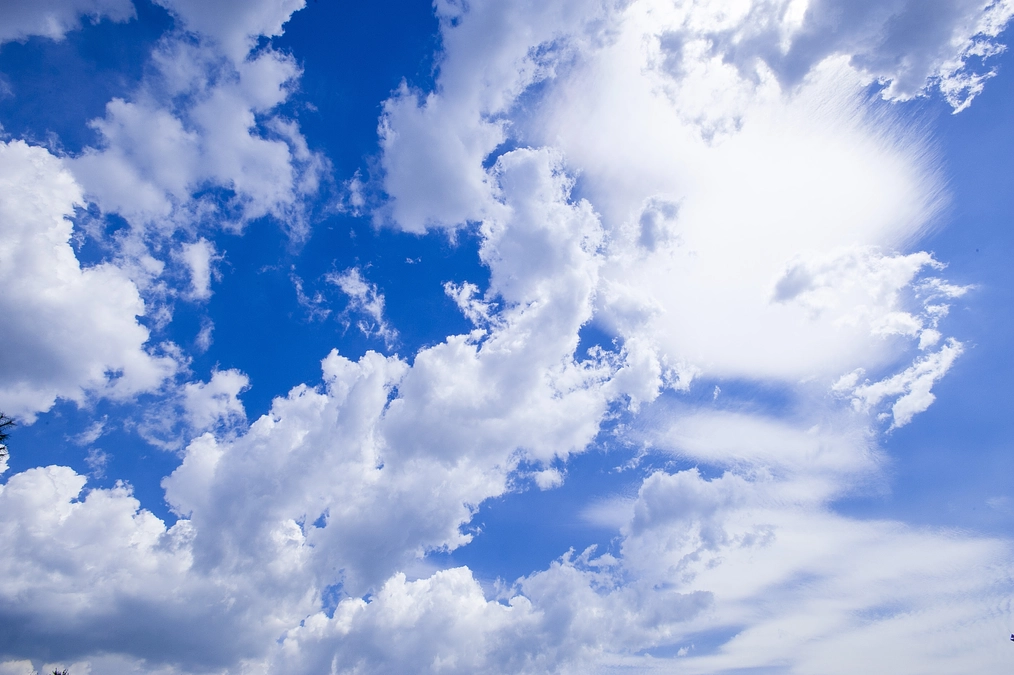 一生懸命をやめた