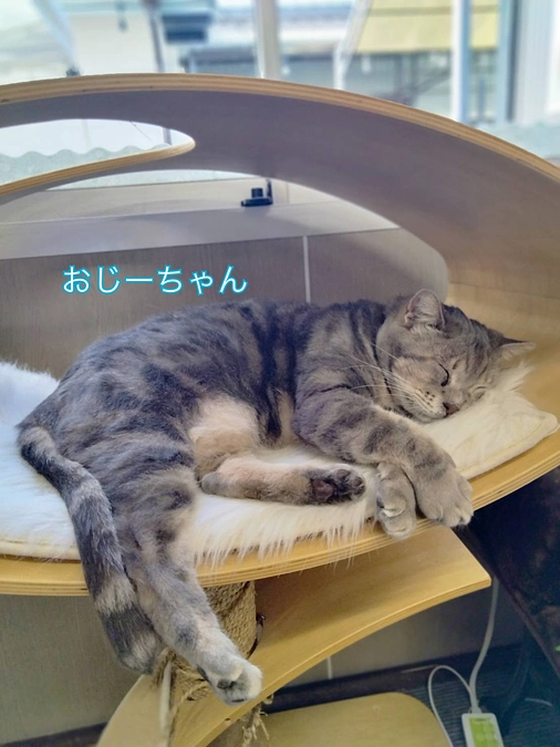 大雨の中あっという間に過ぎていった3連休…