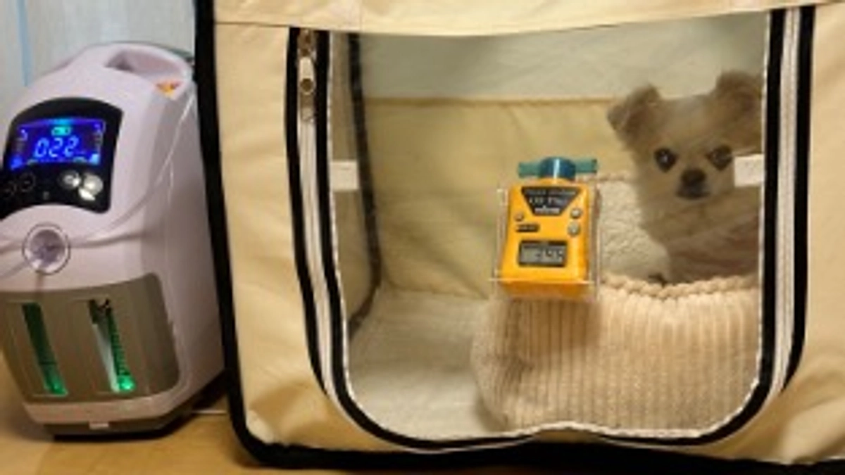 また咳が出始めました