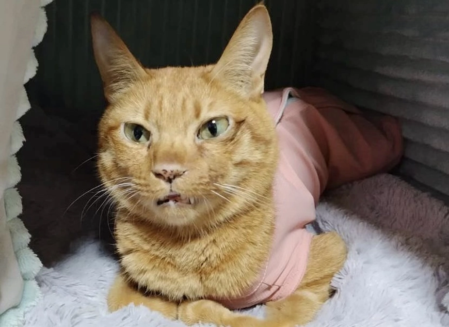 6/14  再び点滴へ