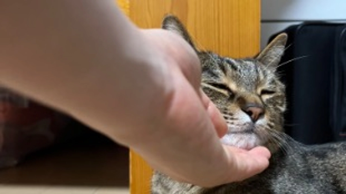 【通院記録】6月15日