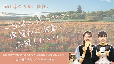 地元名品をリターンに、保護猫施設と猫に優しい街作りをご支援下さい！ のトップ画像