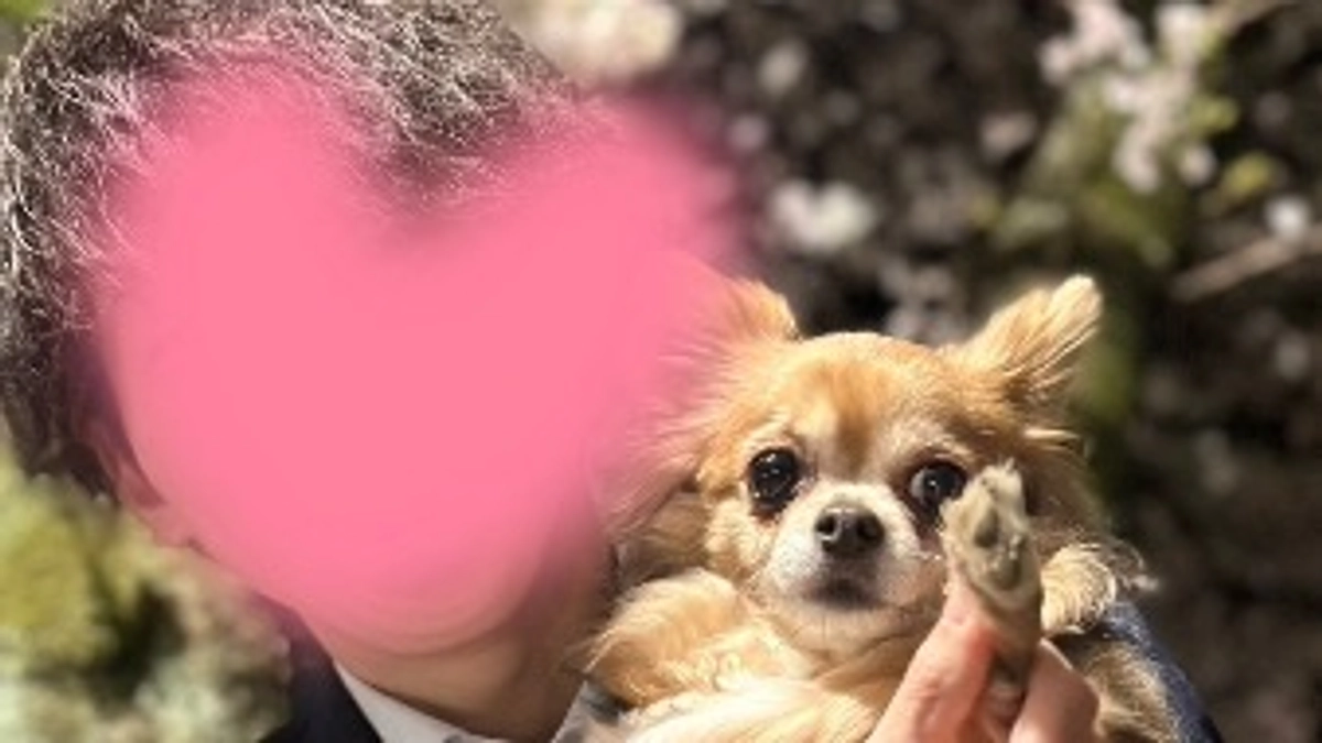 てってと私の近況【活動報告4日目】