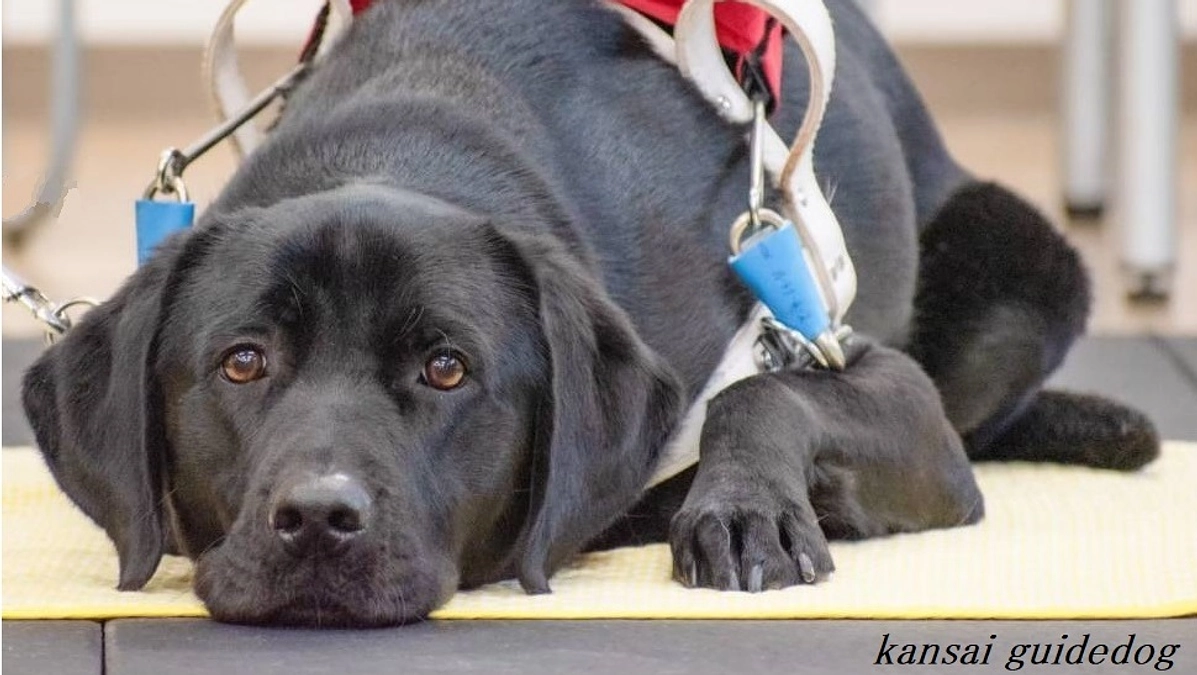 京都市との連携（2024/1/22）