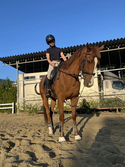 １１月３日　今朝のクニマルです