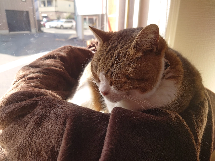 １月２２日より記載致しました！