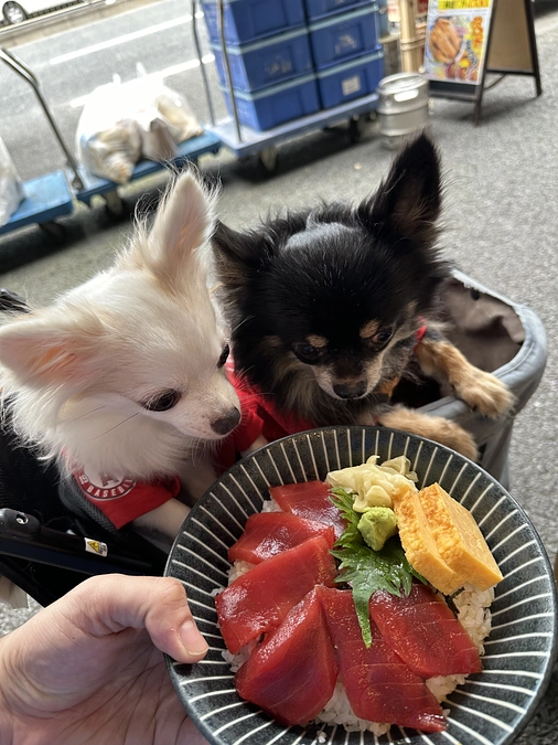 残りあと4時間半となりました！最後まで応援お願いいたします！