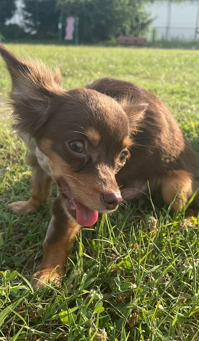 【活動報告 Vol.4】 ～手術から1か月。日々の成長～